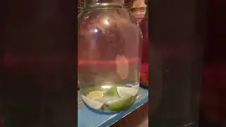 25 апреля 2023 г.