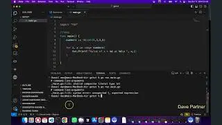 Go lang tutorial - 6 - loops, for loops, while loop
