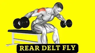 7 Best Ways to Do the Rear Delt Fly