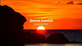 дикая львица (tarjima)