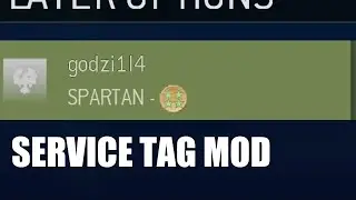 How to add medals to Service Tag in Halo MCC (PC)