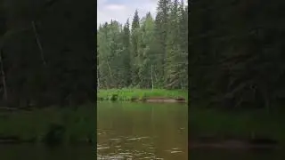 А я еду за мечтами, за мечтами, за туманом и за запахом тайги.....