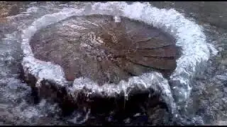 Танцующая крышка люка.
