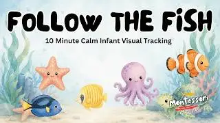 Underwater Baby Sensory 🐠 | Calm Visual Stimulation for Infants | Montessori-Inspired