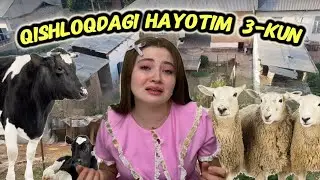 Qishloq hayotida 5 kun-Кишлок хайотида 5 кун