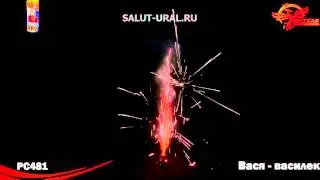 РС481 Фонтан Вася василек