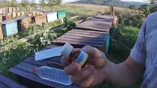 Пролили тестово  тактиком завищеною дозою  Осип кліща вражає Срочно потрібно проливати усю пасіку