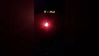 X-File 