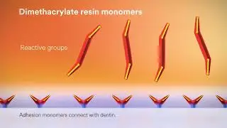 3M RelyX Universal