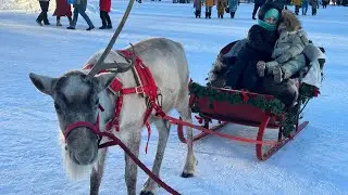 Няньчимся с волчатами 🐺🔥 поздравляем с Рождеством Христовым 🎄🎁