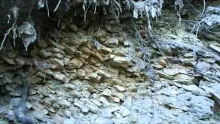 Dolina Koprzywianki Łupki Kambryjskie Nawodzice