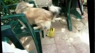 █▬█ █ ▀█▀