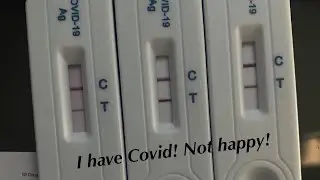What a f*cking week so far, tested POSITIVE  for COVID || CJ's Life || 11.01.2022