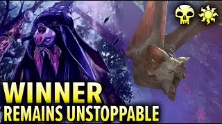 This Deck Won A Big Online Tournament | BLB Standard