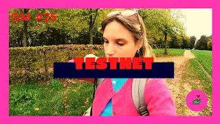 GM #25 - Testnet + CRYPTO TABOO IRL