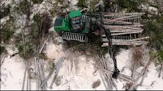 Skogen - en plats för dig som vill ha ett fritt och självständigt arbete!