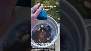 How to Make THE BEST Brine for Thanksgiving Turkey Part 1/2