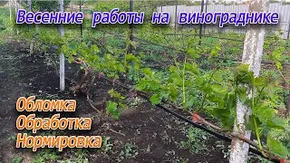 Уход за виноградом весной