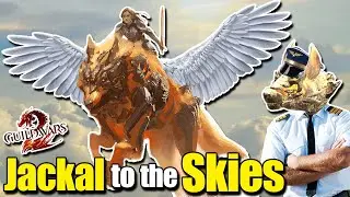 New Flying Mount is the Jackal?!? | Guild Wars 2 Quick Fun Facts