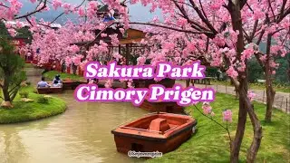 Sakura Park - Cimory Prigen