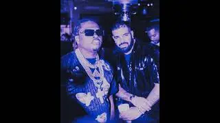 (FREE) Gunna Type Beat 'Wildness' | Melodic Trap Type Beat 2021