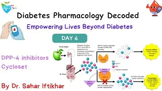 Day 4 diabetes crash course by Dr Sahar Medsparkle