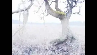 Of Your Funeral - Judgement
