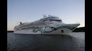 Chernesky appointed to SVP role at Norwegian Cruise Line | CruiseBooking.com News