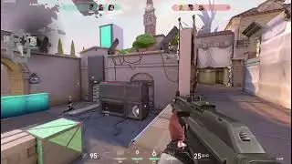 Asian Phoenix!!