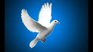 Karl Jenkins The armed man
