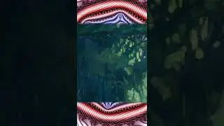 Что же такое выборы