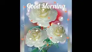 XAYRLI TONG..🌅🌅 ((Good Morning)...