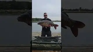 NORTON DISNEY – 30-PLUS BITES ON BILLY’S LAKE! #dnabaits #carpfishing #shorts #nortondisney