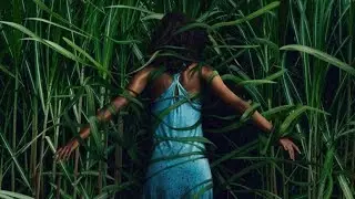 IN THE TALL GRASS - Stephen King Movie - Netflix