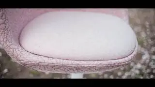 PETALS
