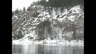 Уловистая мушка.Личинка ручейника (свободноживущий).