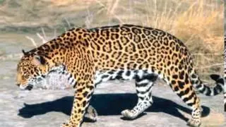 Endangered and Threatened Species