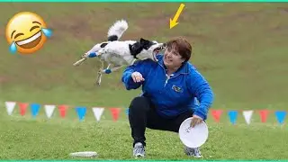 Funny Videos Compilation 🤣 Pranks - Amazing Stunts-by MrVava#35