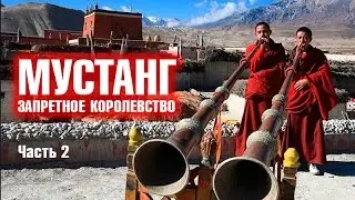 Тайны книги Молла - МУСТАНГ: Запретное Королевство #2