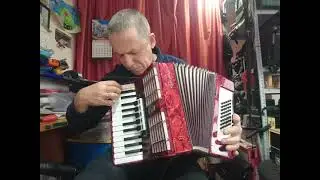 Аккордеон половинка.