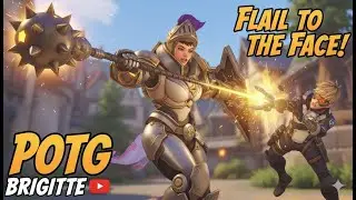 OverWatch 2 Brigitte 5 POTGs