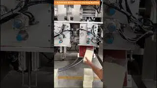 Automatic Brick Vacuum Packing Machine  #packingmachine #vacuumpacking #ricepack #packagingmachine