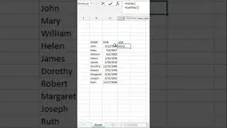 Calculate Age from Date of Birth📆 | excel | 