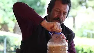 Zararlı ve Hastalıklarla Mücadele için Doğal İlaç Yapımı