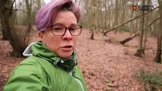 Canon EOS M50 Vlogging on the move