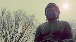 Tokyo Daibutsu (THE BIG BUDDHA) DOCUMENTARY VIDEO