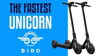 The Rise Of Bird - How They Became The Fastest Unicorn Ever