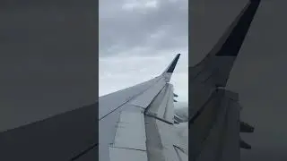 Delta Flight 710 Landing (Spoilers and Flaps)