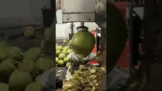 Tender Coconut Trimming Machine | Coconut Peeling and Cutting Machine | Coconut Peeler Tool