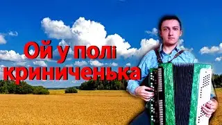 Ой у полі криниченька (баян)